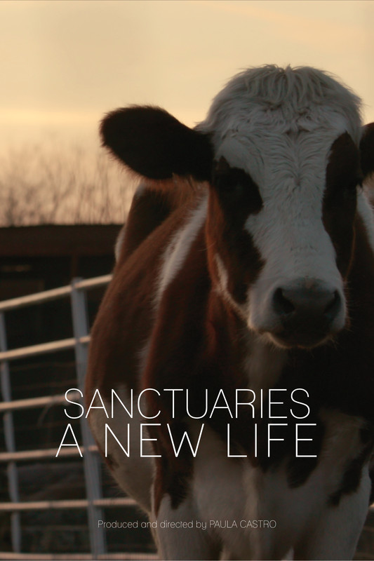 sanctuaries_a_new_life_movie_poster